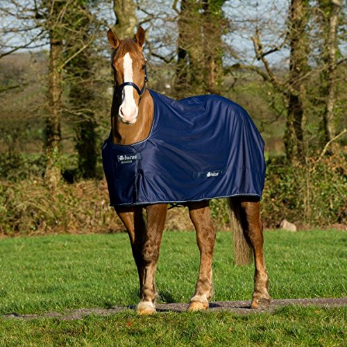 Shamrock Abschwitzdecke