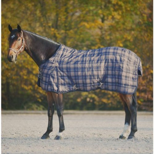 Stalldecke Premium