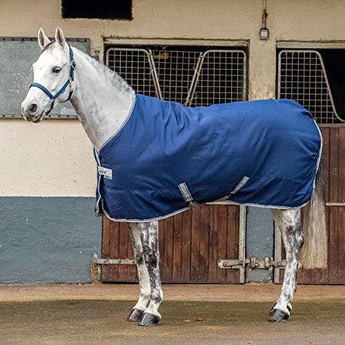 Bucas Freedom Stable