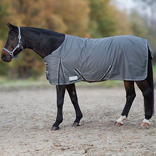 NEU Regendecke COMFORT Waldhausen Horse Fashion Softshell nachtblau 