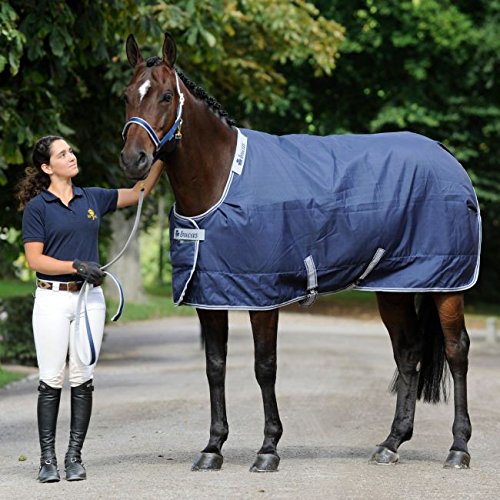 sand Tag væk Gør alt med min kraft Bucas Celtic Stable Light 0g - Pferdedecken günstig kaufen