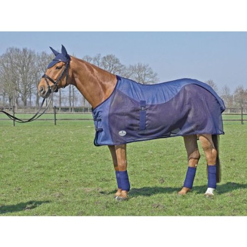 Busse Abschwitzdecke Summer Fly Funktionsdecke Busse Abschwitzdecke Summer Fly Funktionsdecke