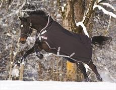 Amigo Turnout Bravo 12