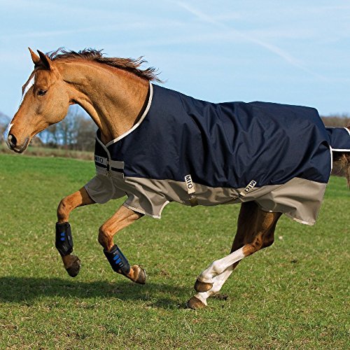Horseware Amigo Mio Turnout medium 200g -Navy & Tan with Navy, Groesse:155 -
