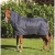 Horseware Amigo Pony Insulator Plus Medium Stable Rug 110cm Navy/Navy & Green - 