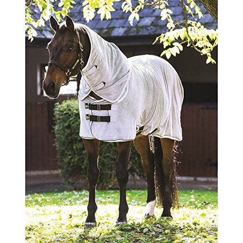 RAMBO Dry Rug