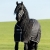 Horseware Stalldecke Rambo Stable Rug 400g - Black with Pale Grey & Grey, Groesse:160 -