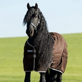 Rambo Stable Rug