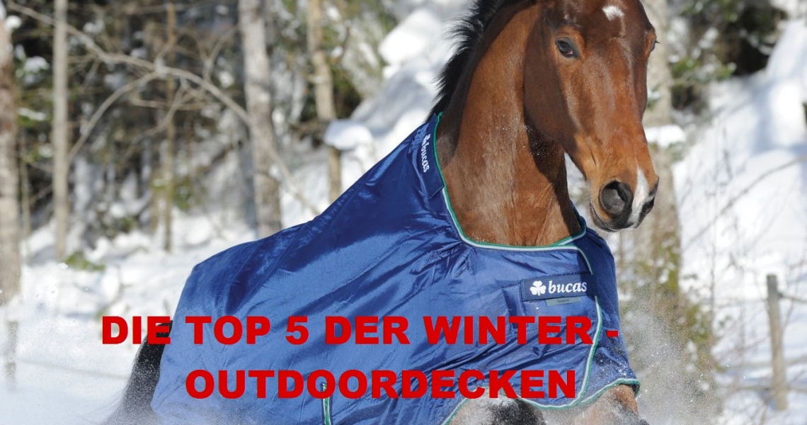 TOP 5 Winter Regendecken für Pferde
