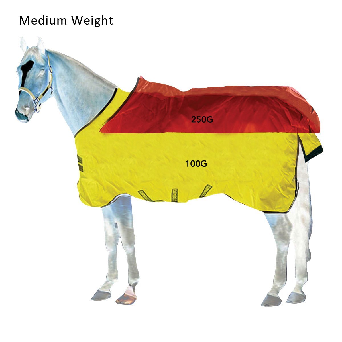 Horseware Decken